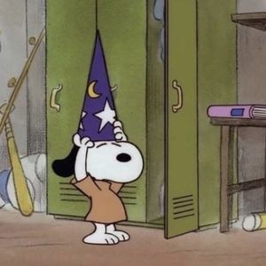 Meet your Posher, Ally